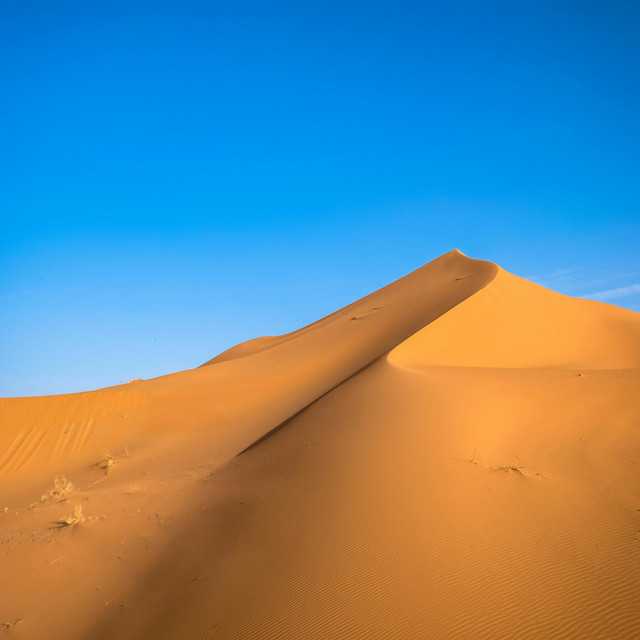 Dune