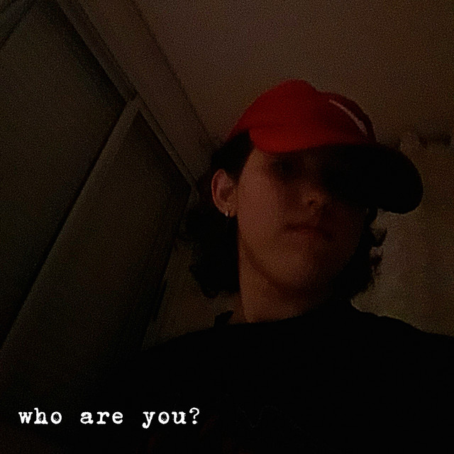 who are you? cover art