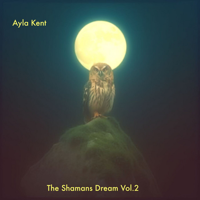 The Shamans Dream Vol. 2 cover