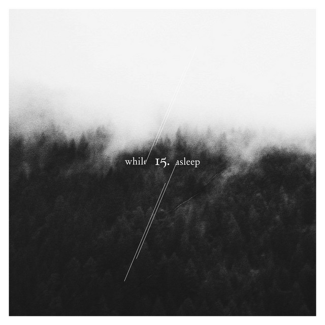 While/Asleep cover art