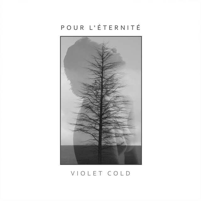 Pour l'éternité (single)