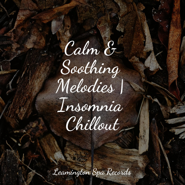 Calm & Soothing Melodies | Insomnia Chillout cover art