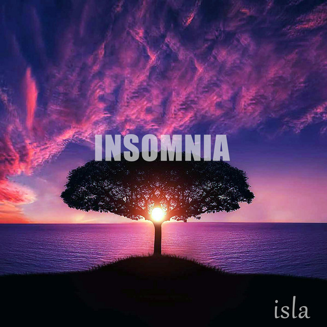 INSOMNIA cover art