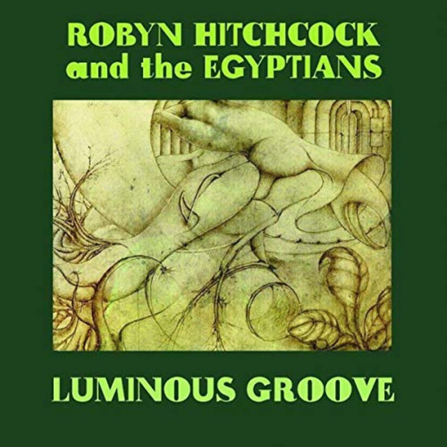 Luminous Groove cover