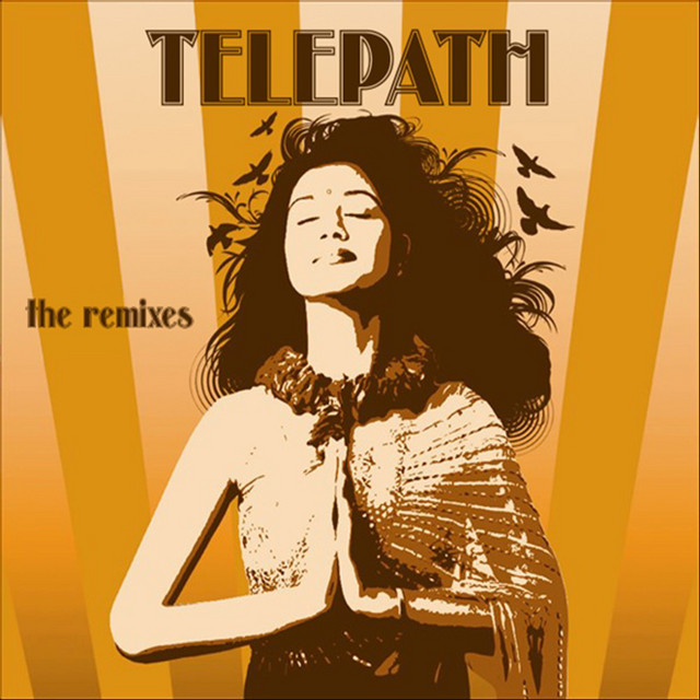 The Remixes cover