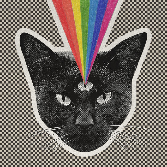 Black Cat cover art