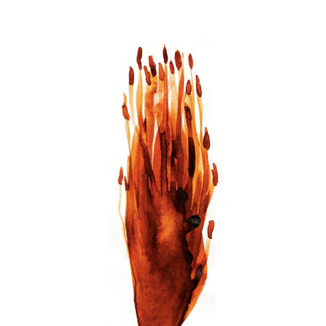 Trackz cover art