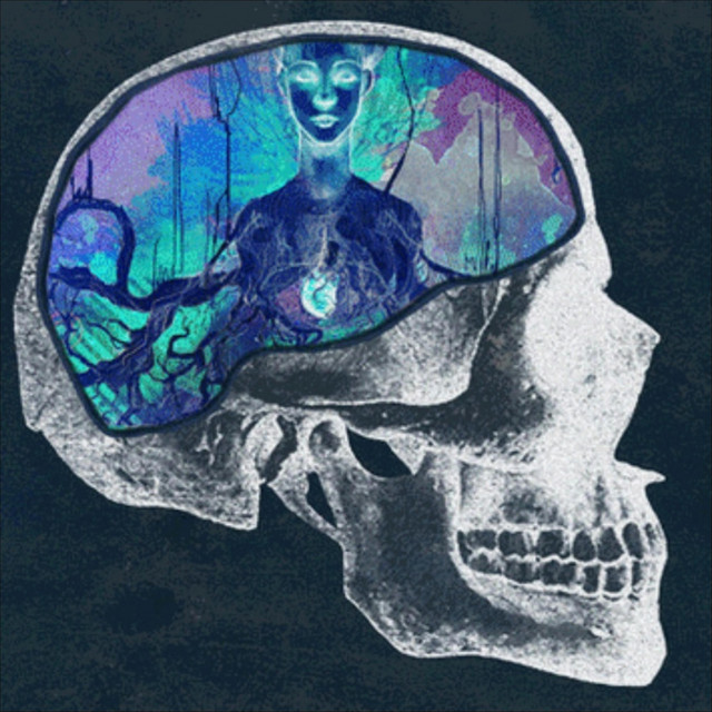 Mind Reimagined. cover art