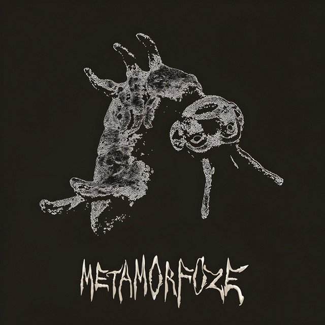 Metamorfoze (mūzika no teātra izrādes "Metamorfoze") cover art