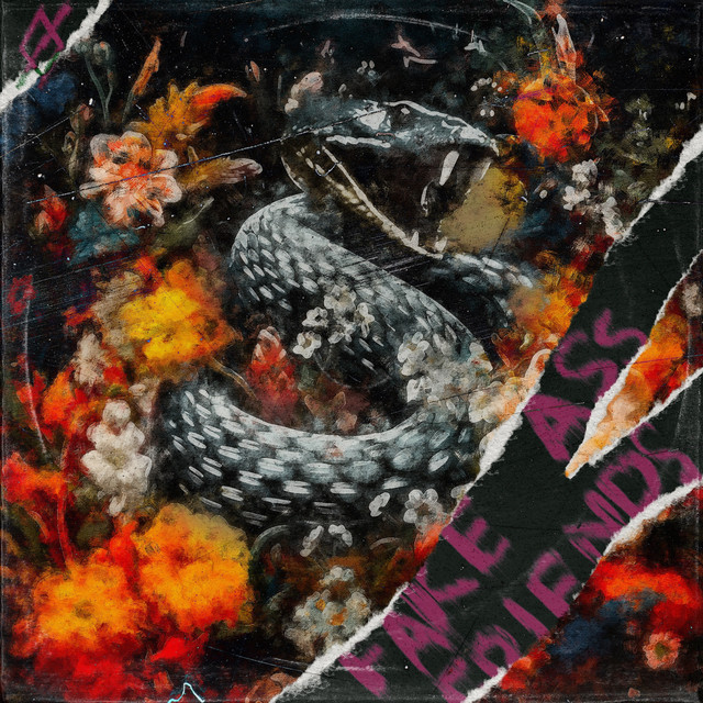 Fake Ass Friends cover art