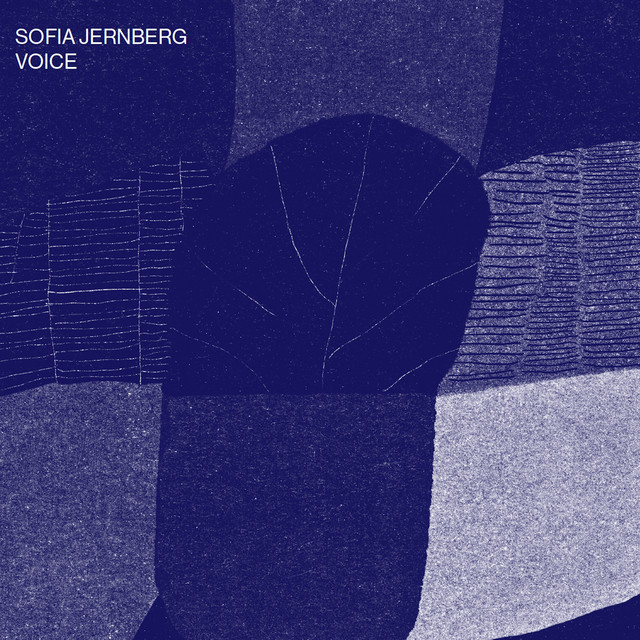 Voice cover art