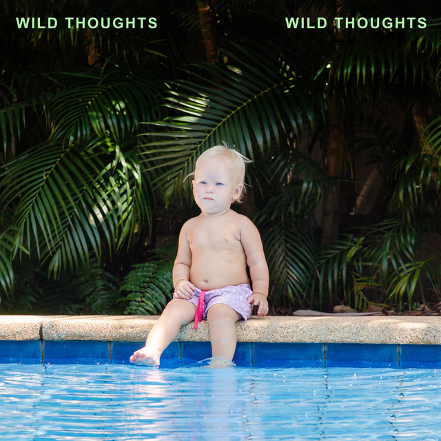 Wild Thoughts cover