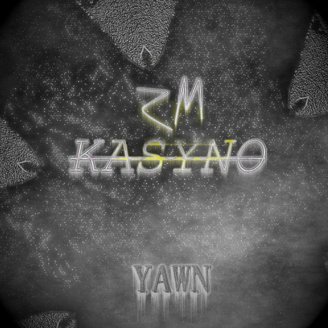 ZM Kasyno cover art