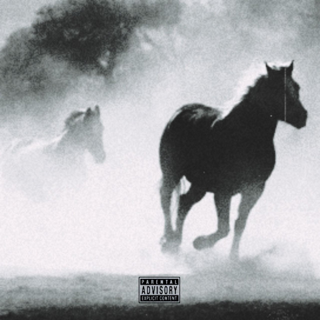 CAVALLO PAZZO cover art
