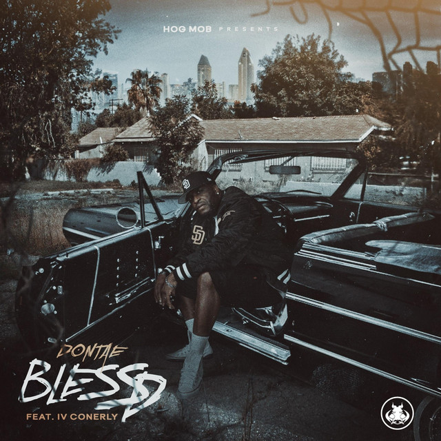 BlesSD cover art