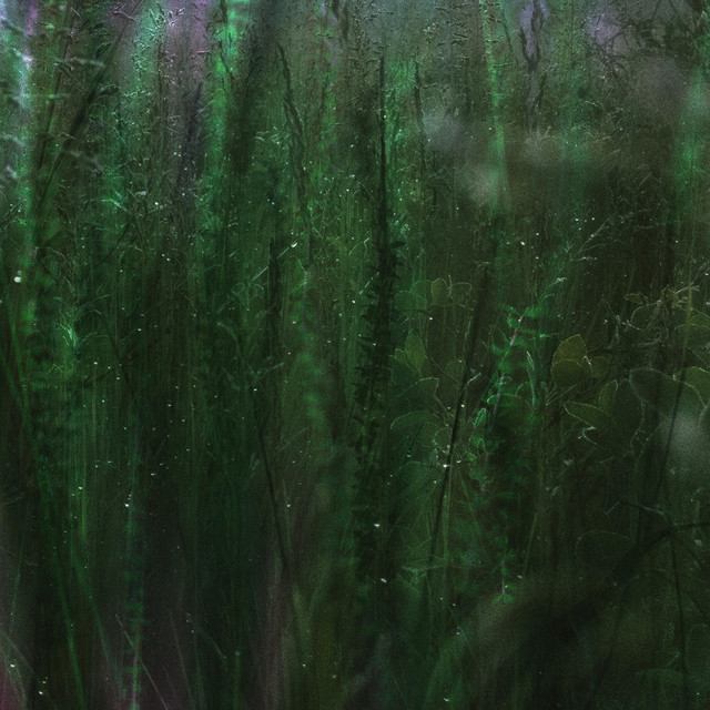 Petrichor cover art