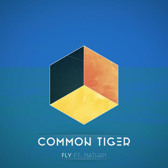 Fly cover art