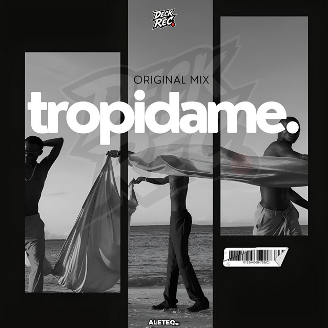 TROPIDAME (Original Mix)
