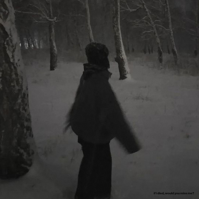 if i died, would you miss me? cover art
