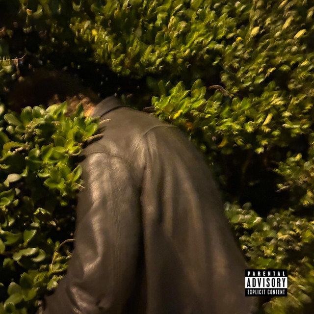 Whatever It Takes. cover art