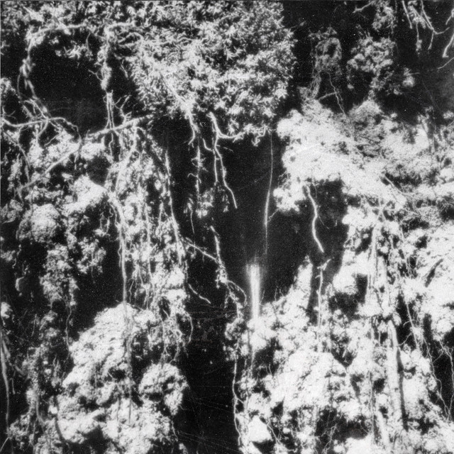 Den Sorte Død cover art
