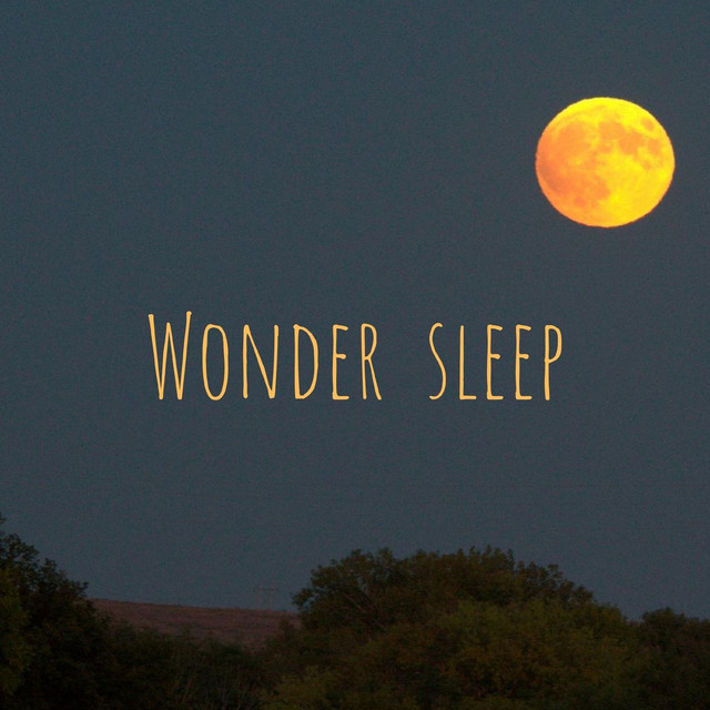 Wonder Sleep cover art