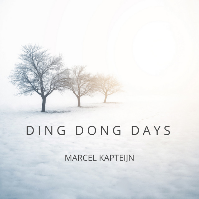 Ding Dong Days cover art