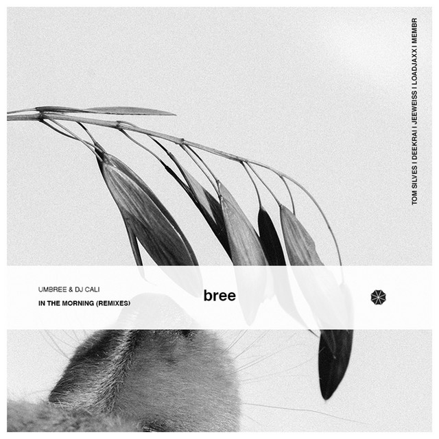 In The Morning (JeeWeiss Remix) cover art