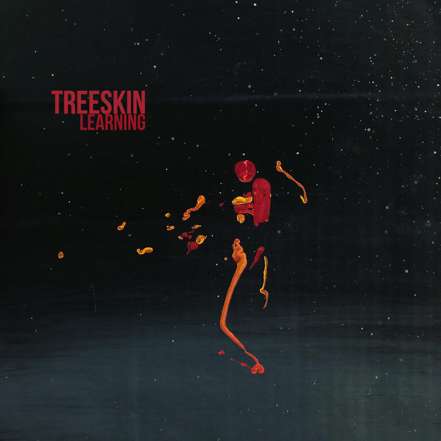 Learning cover art
