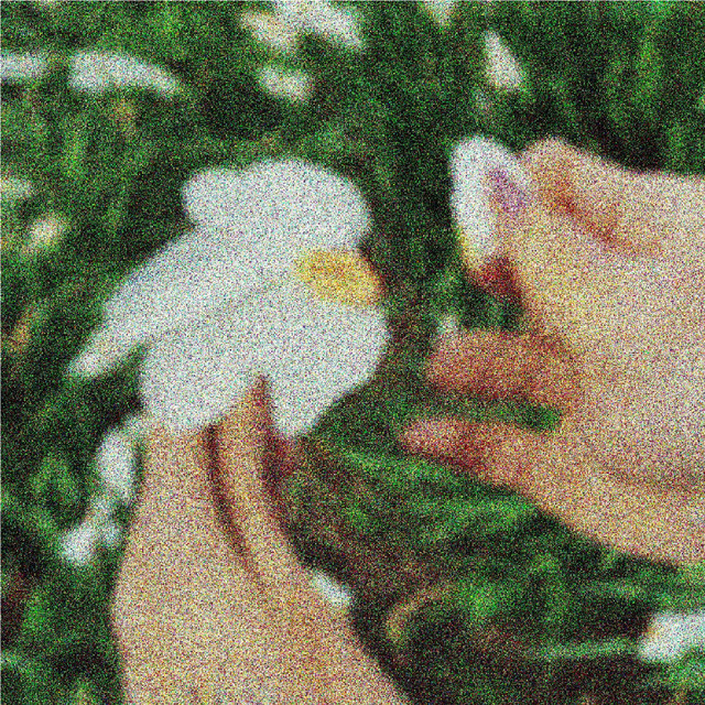 PETALS cover art
