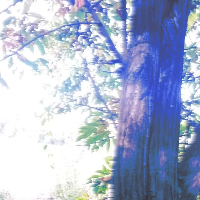 Let's Walk on the Path of a Blue Cat by Parannoul album cover