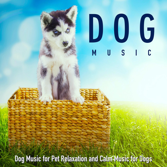 Dog Music for Pet Relaxation and Calm Music for Dogs cover art