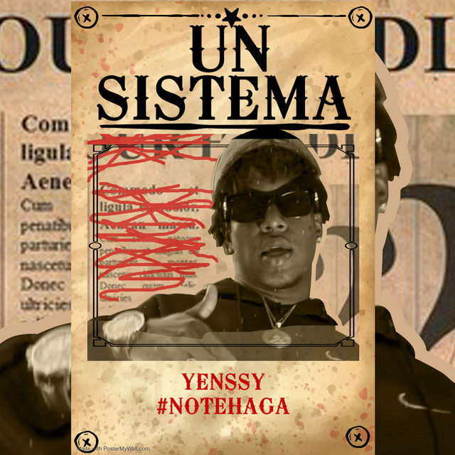 HAY UN SISTEMA