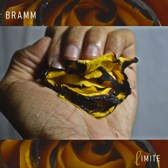 Limite cover art