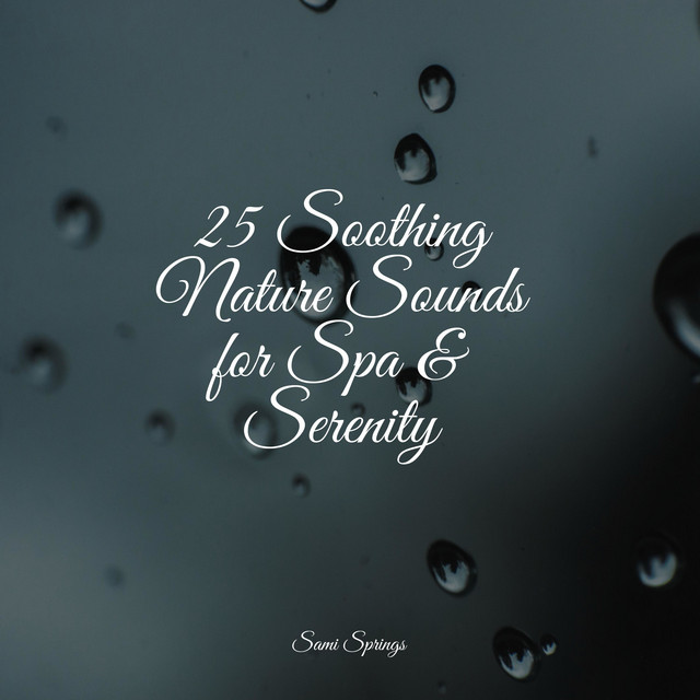 25 Soothing Nature Sounds for Spa & Serenity - Album by Soothing Baby ...