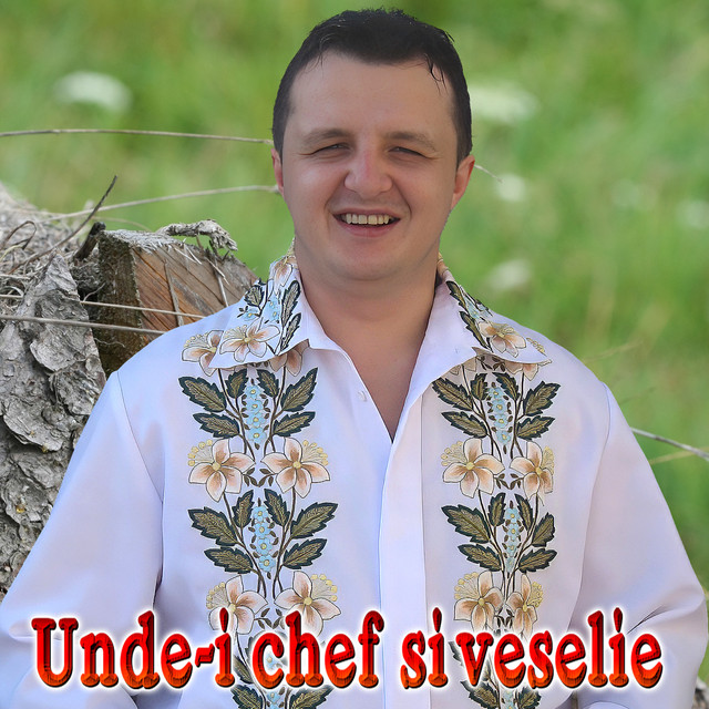 Unde-i chef si veselie cover