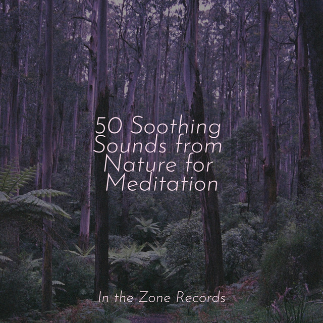 50 Soothing Sounds from Nature for Meditation - Album by Happy Baby ...