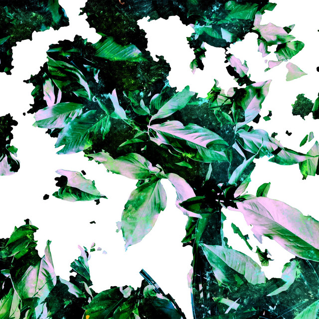Flora cover art