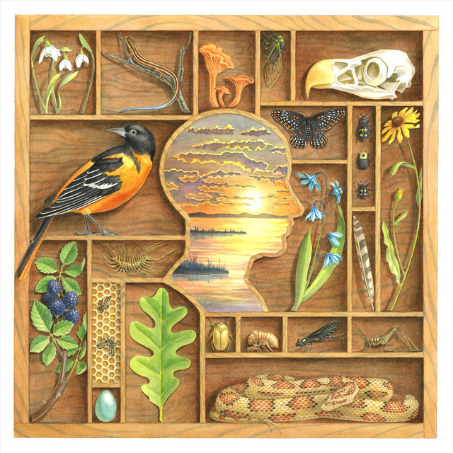 Headwinds & Tailwinds cover art