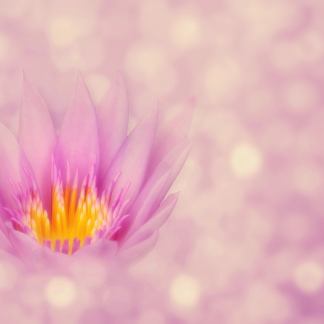 Calm Music For Morning Yoga / Relaxation Meditation Music, Yoga at Home cover art