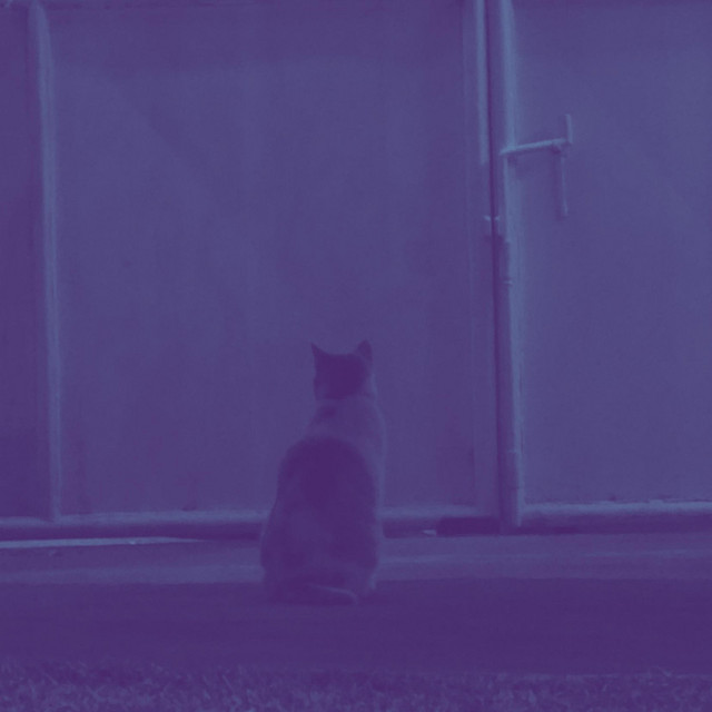 Обкладинка: Meditation — Maritococo