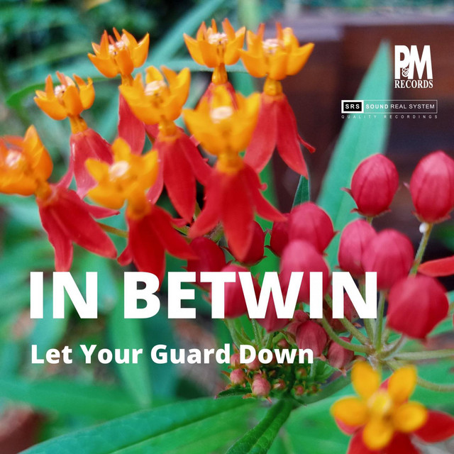 Let Your Guard Down - P&M Records Remake