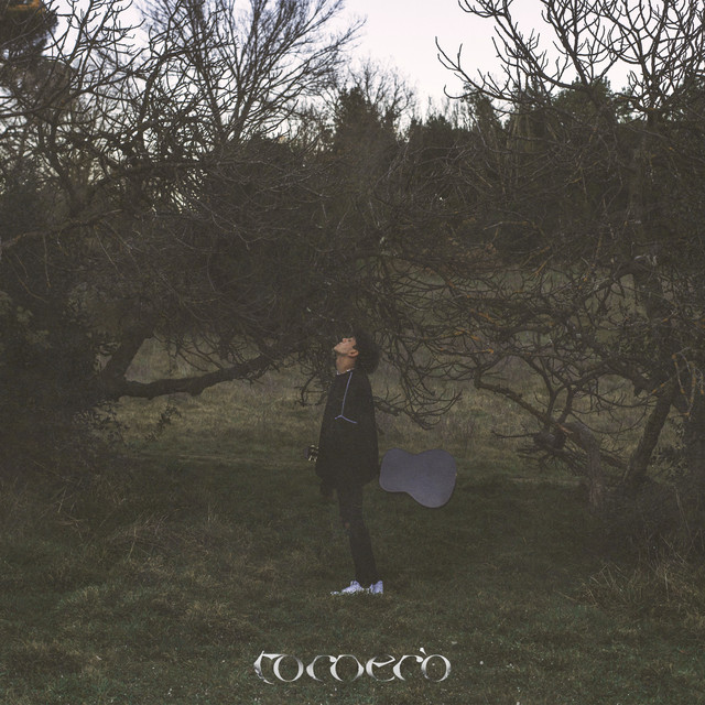 Tornerò cover art