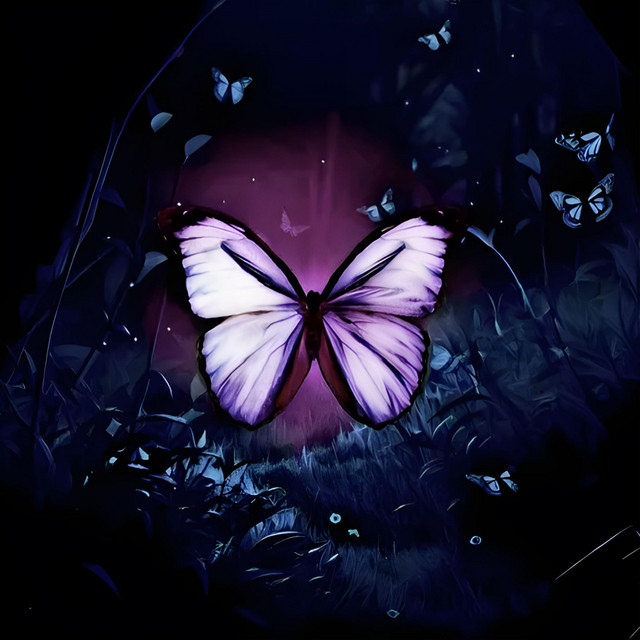 Schmetterling im Wald cover art