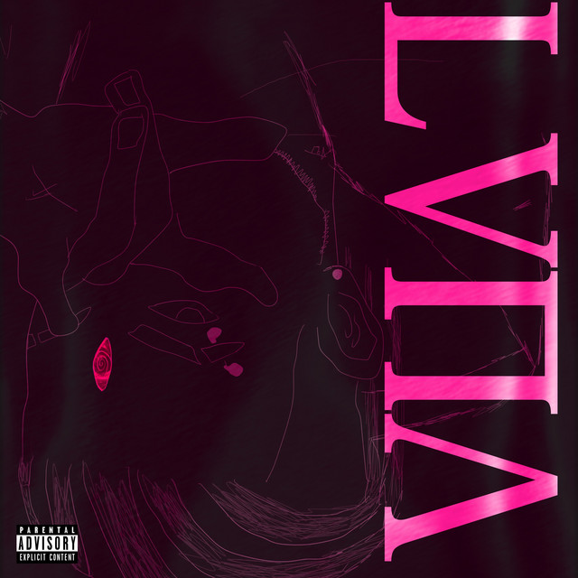 LVNA cover art
