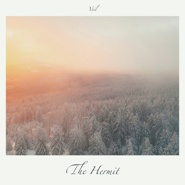 Veil cover art