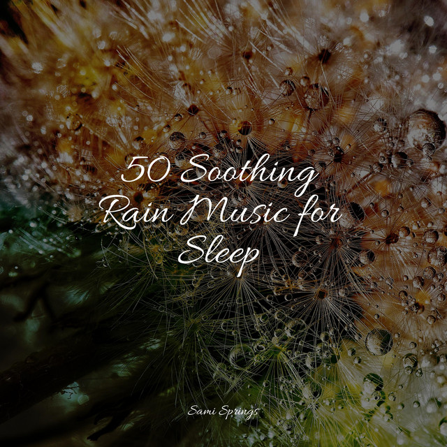50 Soothing Rain Music for Sleep - Album by Winds and Oceans | Spotify