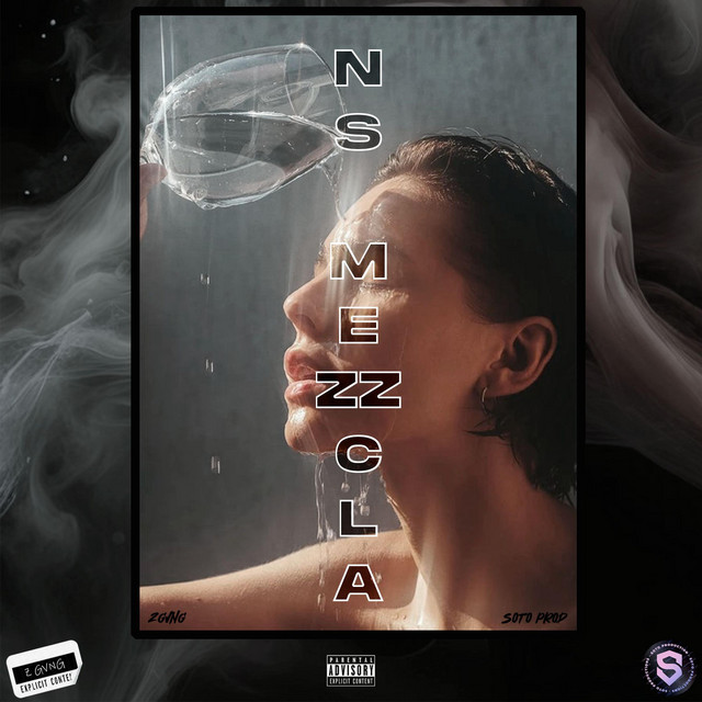 NS MEZZCLA