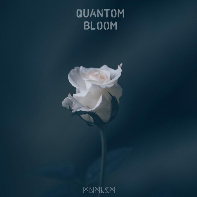 Bloom