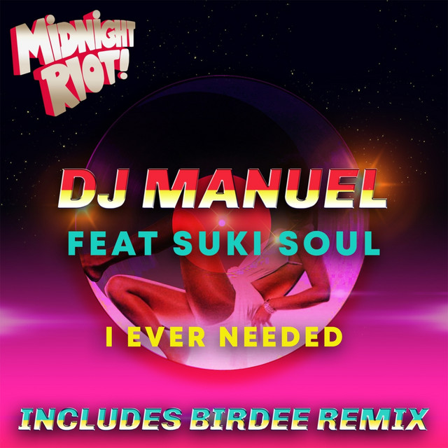 I Ever Needed feat. Suki Soul - Birdee Remix album art